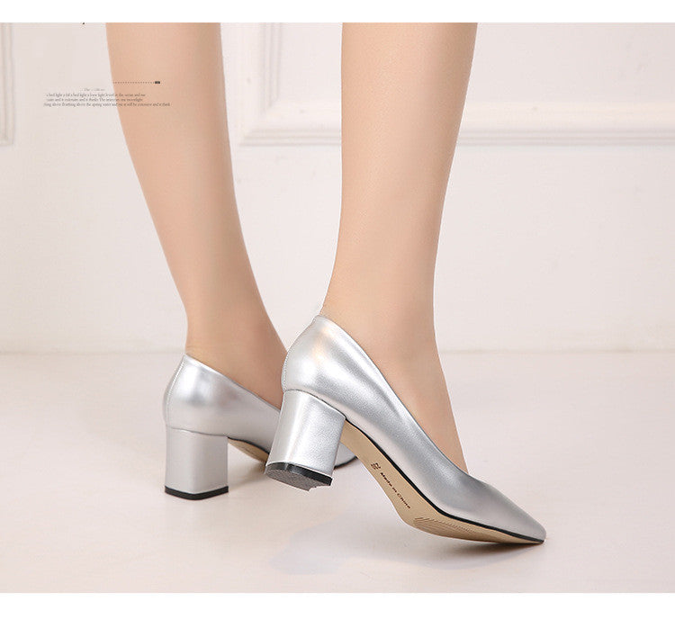 Chic Pointed Chunky Heels by Greta
