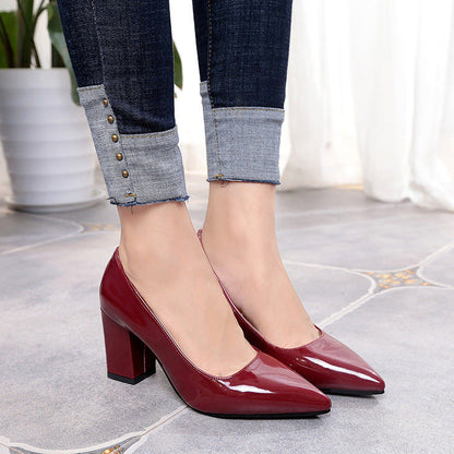 Chic Pointed Toe Heels by Greta 