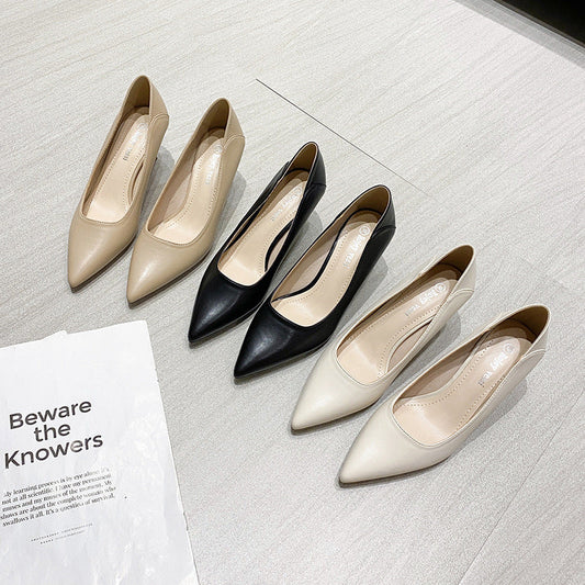 Chic Pointed Toe Heels by Greta 