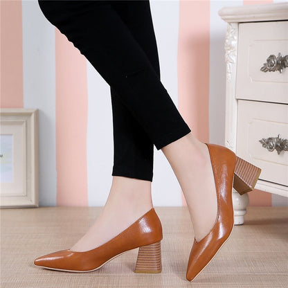 Chic Pointed Toe Heels by Greta 