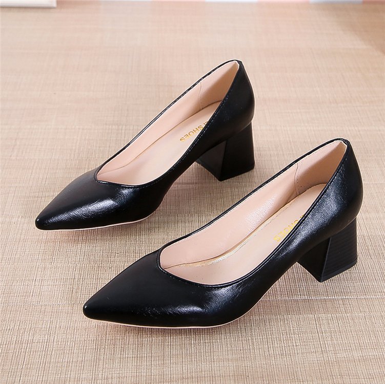 Chic Pointed Toe Heels by Greta 