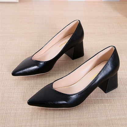 Chic Pointed Toe Heels by Greta 