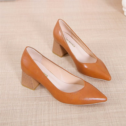 Chic Pointed Toe Heels by Greta 