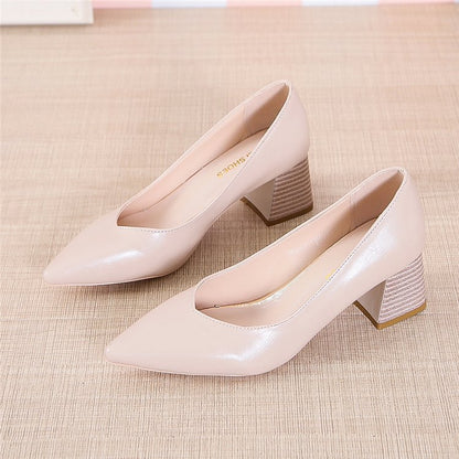 Chic Pointed Toe Heels by Greta 