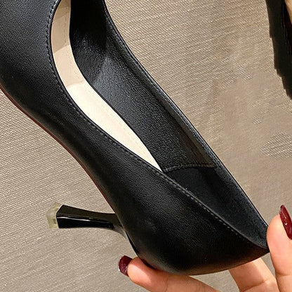 Chic Pointed Toe Heels by Greta 
